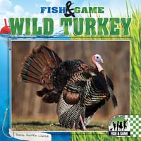 Wild Turkey
