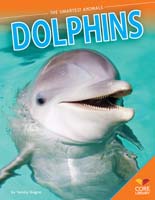 Dolphins