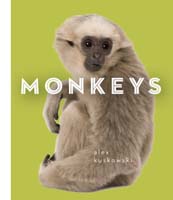 Monkeys
