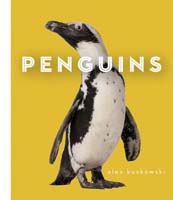 Penguins