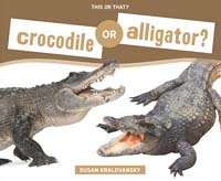 Crocodile or Alligator?