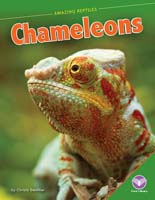 Chameleons