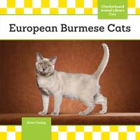 European Burmese Cats