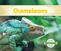 Chameleons