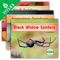 Spiders