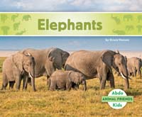 Elephants 