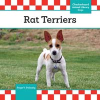 Rat Terriers