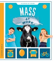 Mass at Work