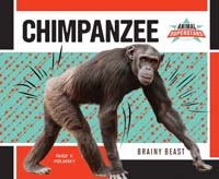 Chimpanzee: Brainy Beast