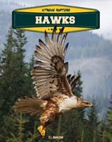 Hawks