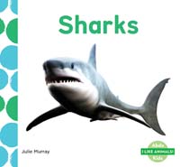 Sharks