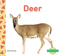 Deer 
