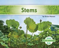 Stems 