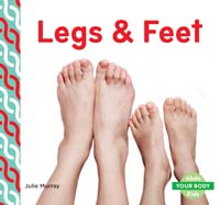 Legs & Feet 