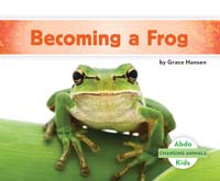 Becoming a Frog 