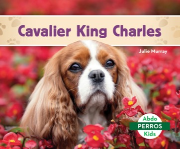 Cavalier King Charles (Cavalier King Charles Spaniels)