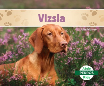 Vizsla (Vizslas)