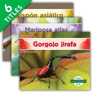Insectos impresionantes (Incredible Insects)