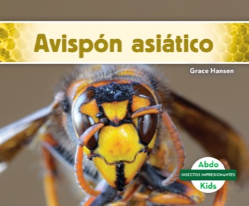Avispón asiático (Asian Giant Hornet)