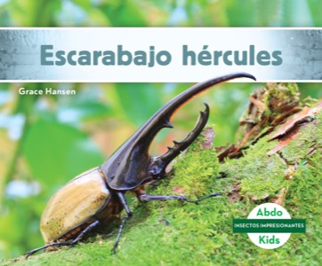 Escarabajo hércules (Hercules Beetle)