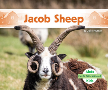 Jacob sheep