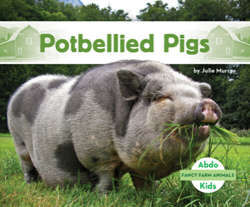 Potbellied pigs