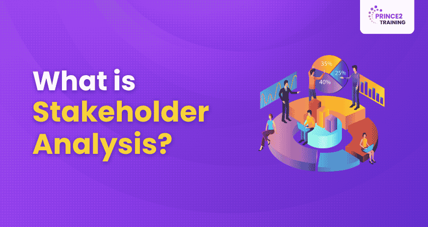 What is Stakeholder Analysis