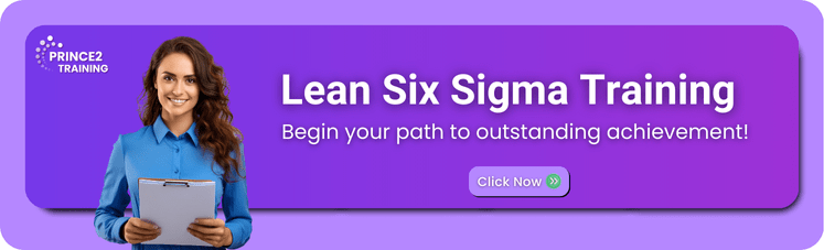 Lean Six Sigma Training Lean Six Sigma Training