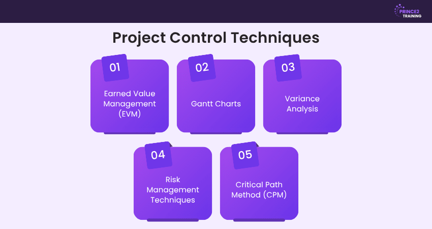 Project Control Techniques