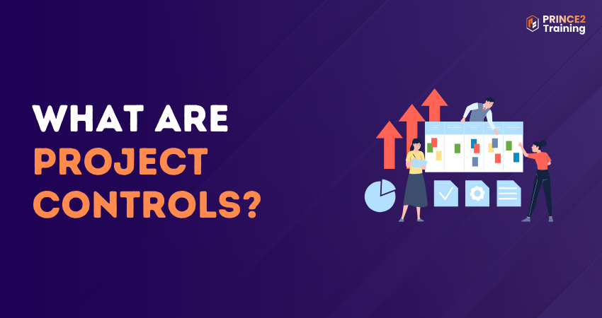 What are Project Controls