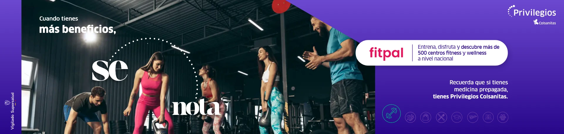 fitpal-10dto-plan-mensual-y-trimestral-de-fitpalgo