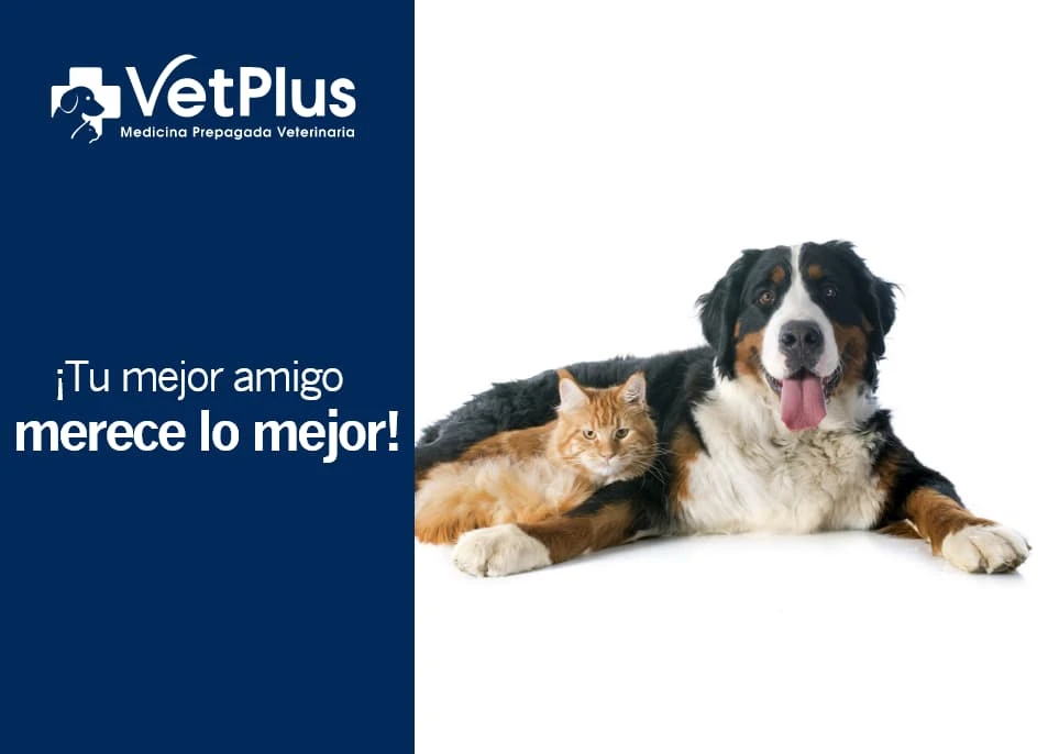 Recibe 50% de descuento en la valoración inicial