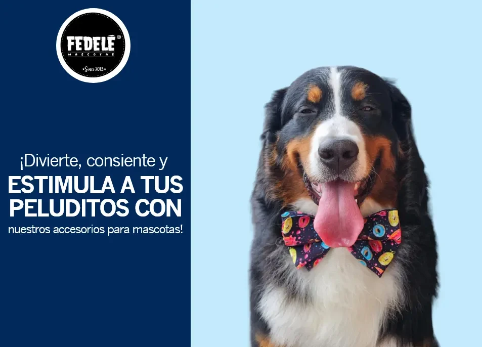 25% de descuento en accesorios seleccionados