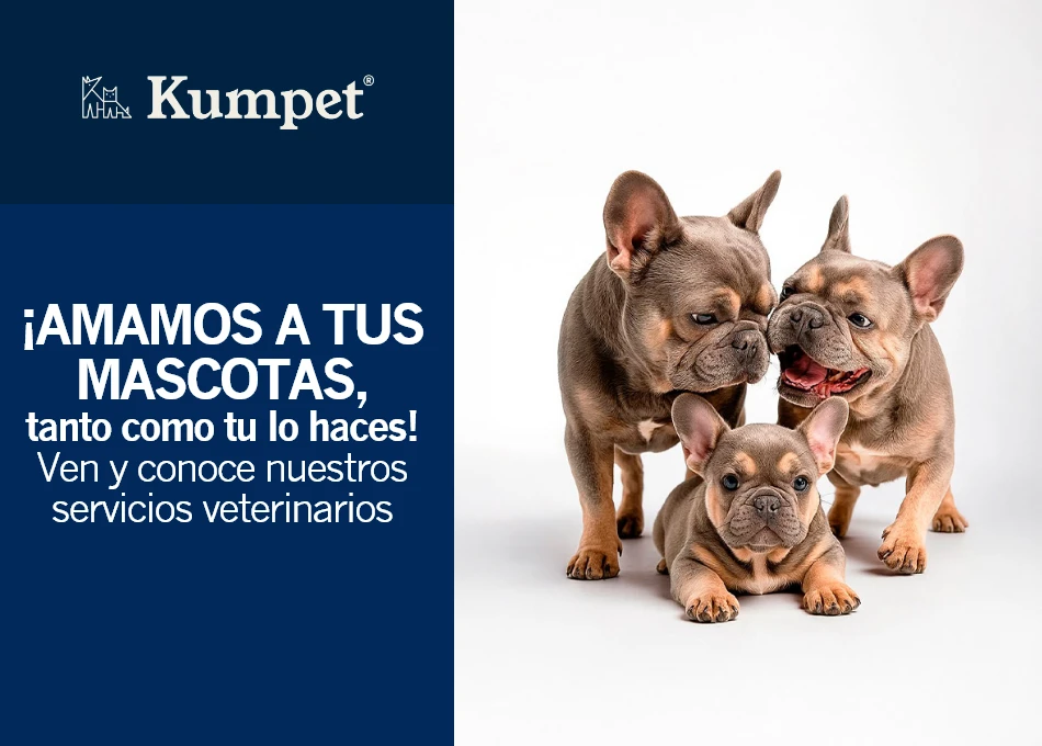 Kumpet - 20% de descuento en servicios veterinarios