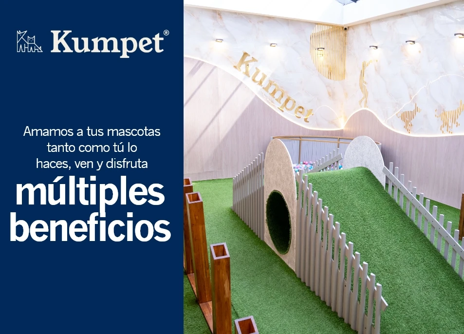 20% en servicios veterinarios
