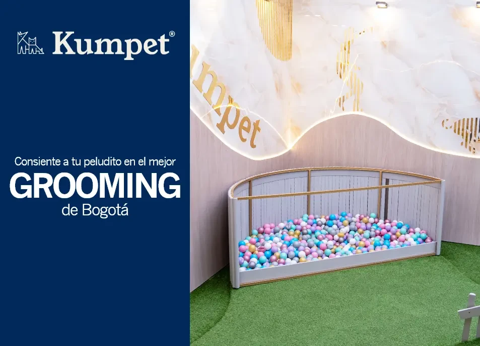 20% de descuento en grooming