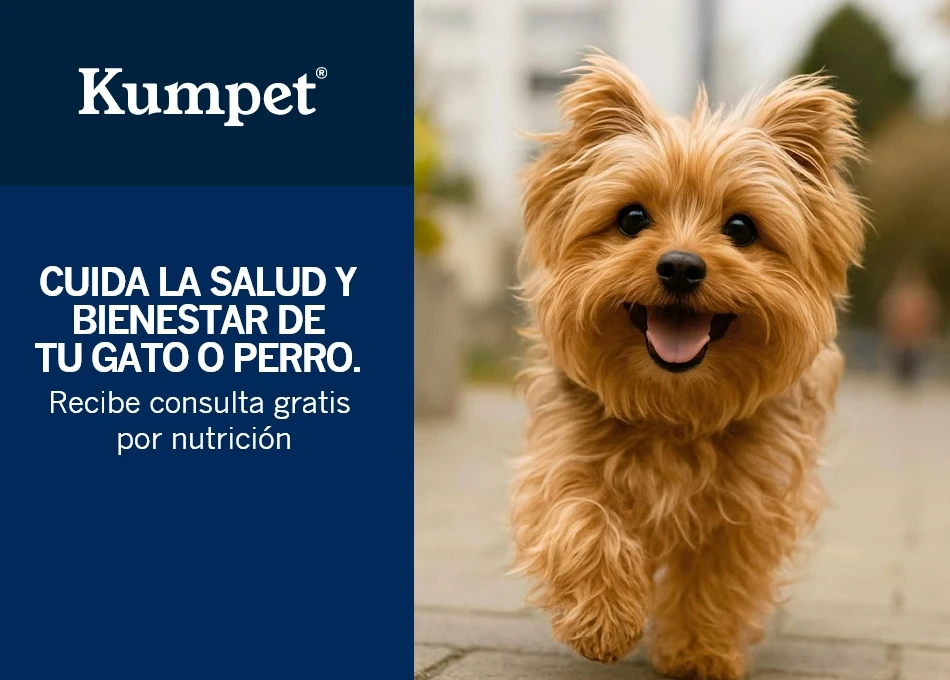Kumpet - Recibe consulta gratuita de nutrición para perros o gatos
