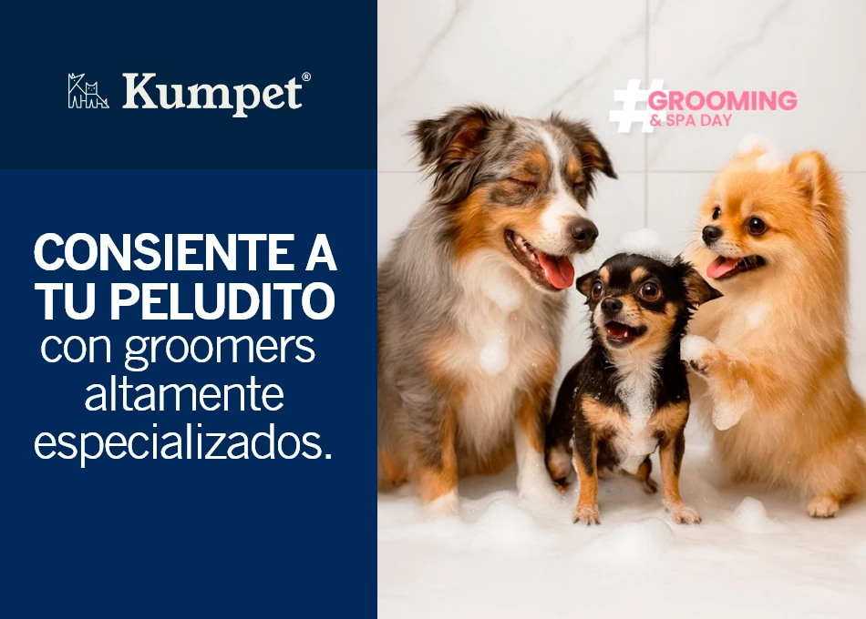 Kumpet - 20% de descuento en grooming de lunes a jueves