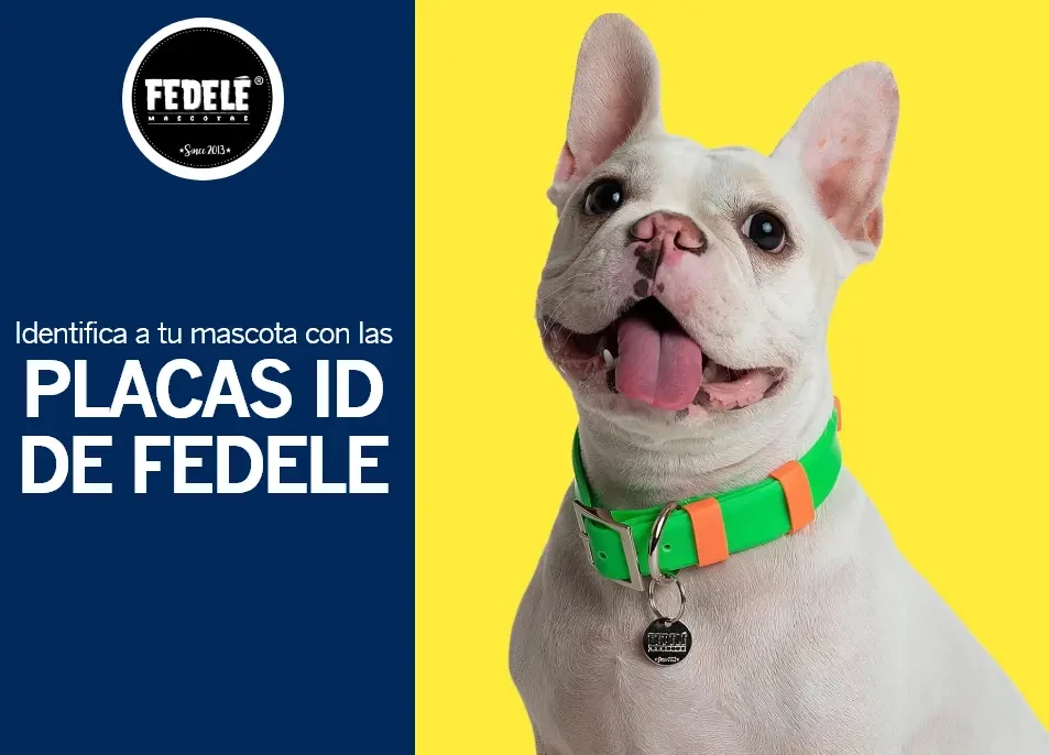 2x1 en placas ID