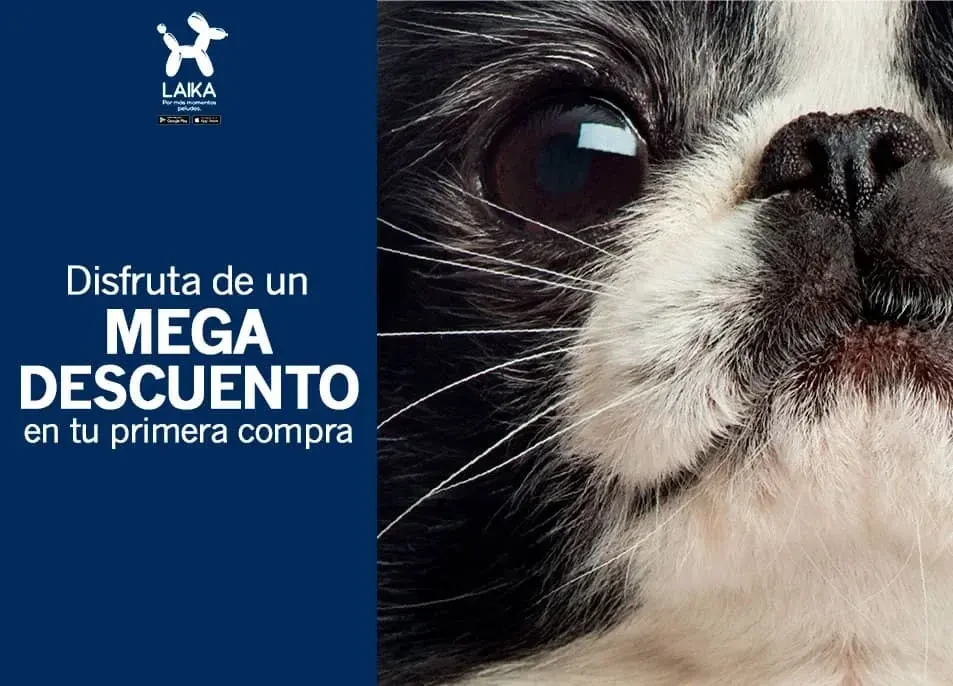 Disfruta de un mega descuento en tu primera compra.