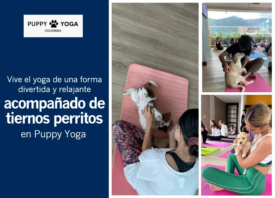 20% de descuento en todas las clases de Puppy Yoga con reserva previa