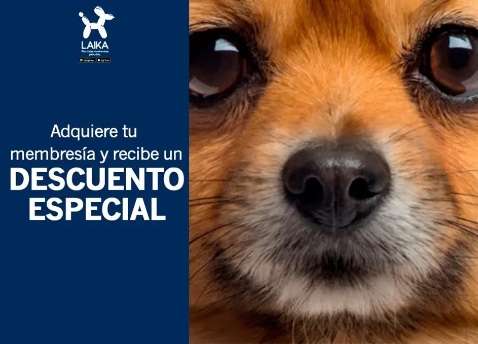 Adquiere tu membresía y recibe un descuento especial.