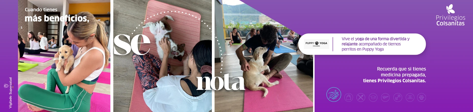 Puppy-yoga-20dto-eserva-previa