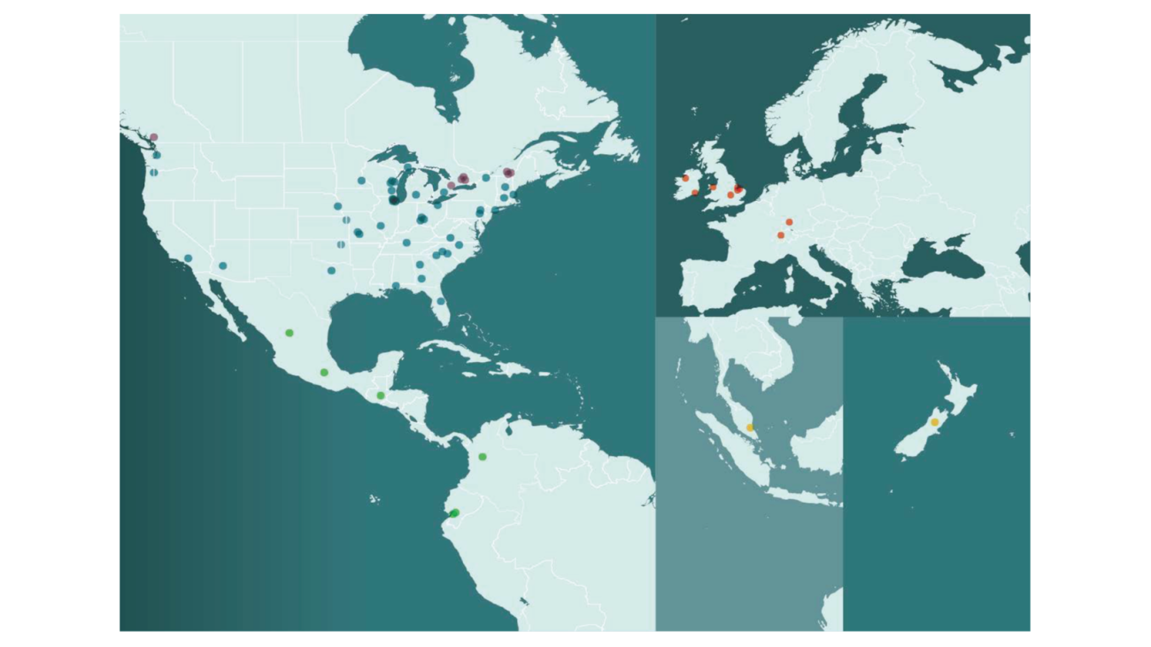 Global Reach. Local Expertise.