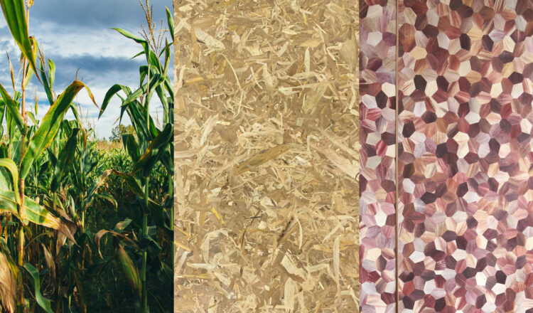 AL Web FFTF Corn no logo 03