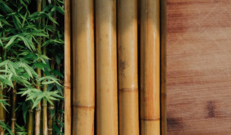 FFTF Bamboo Healthy Materials Lab no text