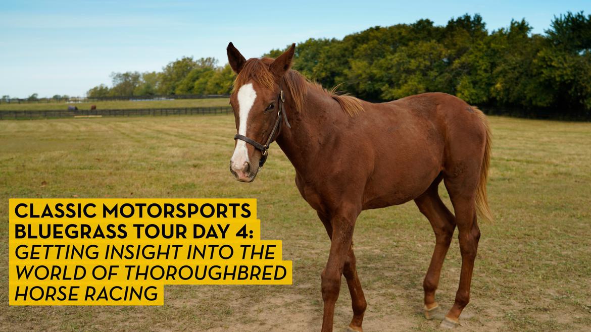 An insider look at Kentucky’s thoroughbred farms News Classic