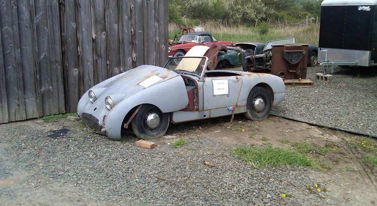 Found a Austin-Healey in Cayuga Lake, NY