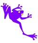 Purple Frog