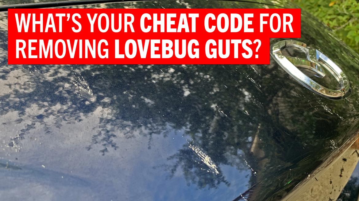 My fellow Southerners: How do you remove lovebug guts?